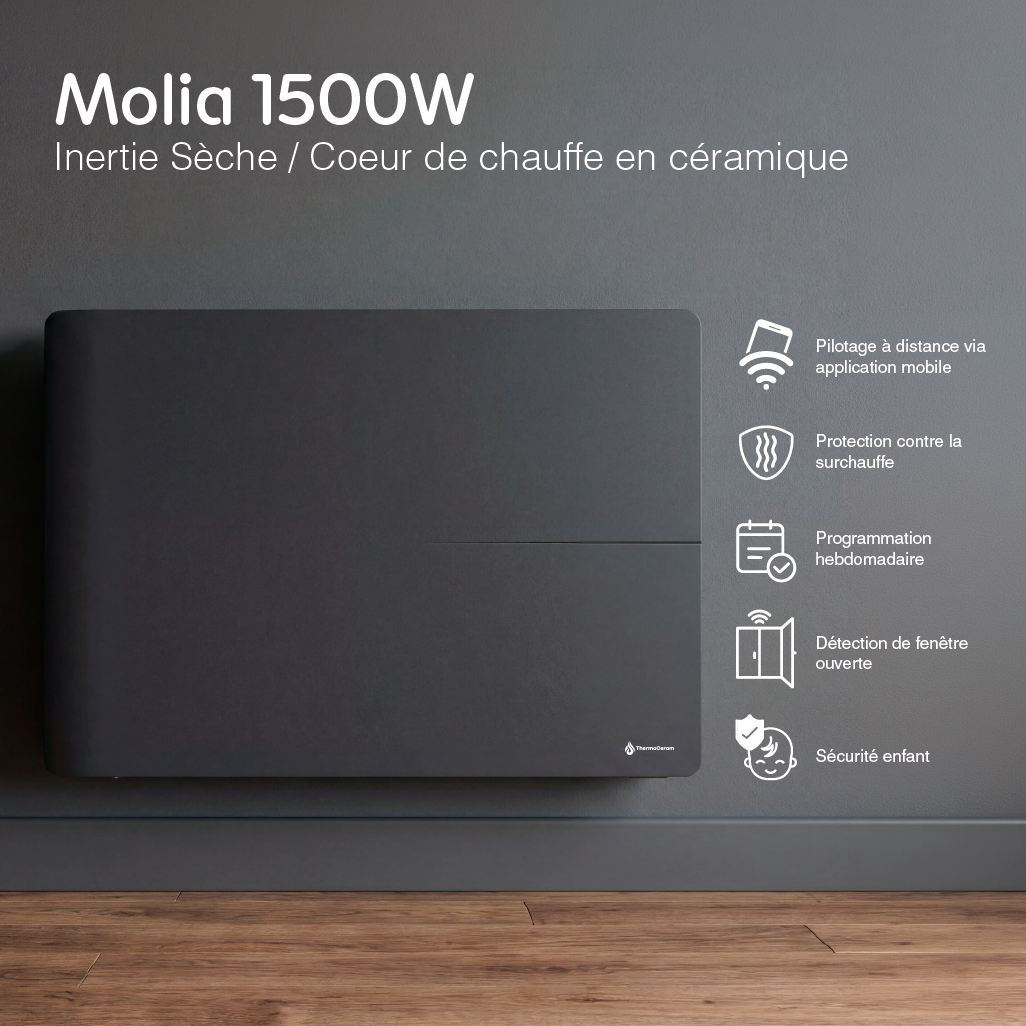 Radiador elétrico conectado de 1500 W com sistema duplo de aquecimento horizontal, preto, Molia
