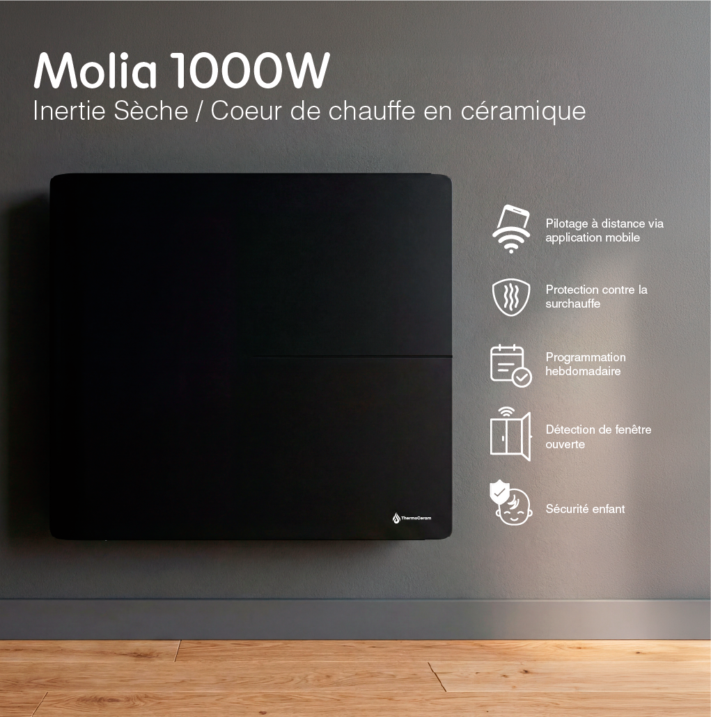 Radiador elétrico conectado de 1000 W com sistema duplo de aquecimento horizontal, preto, Molia