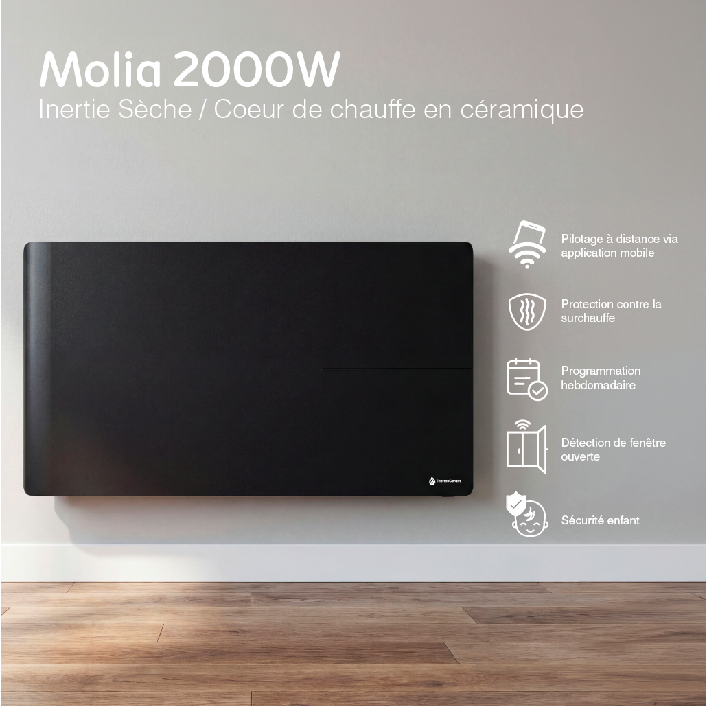 Aquecedor elétrico conectado 2000W sistema de aquecimento duplo horizontal Preto Molia